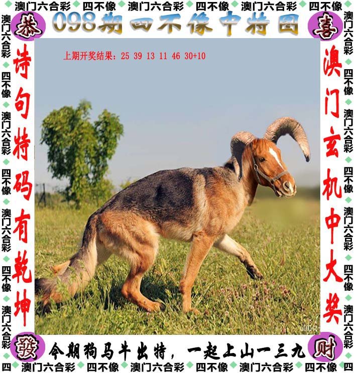 2025新澳四不像正版今晚资料,词语释义、解释和落实和警惕虚假宣传-全面释义、解析和释义