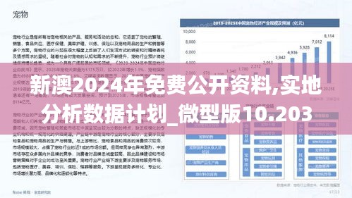 2025新澳正版今晚资料,全面释义、专家解析解释与落实与警惕虚假宣传